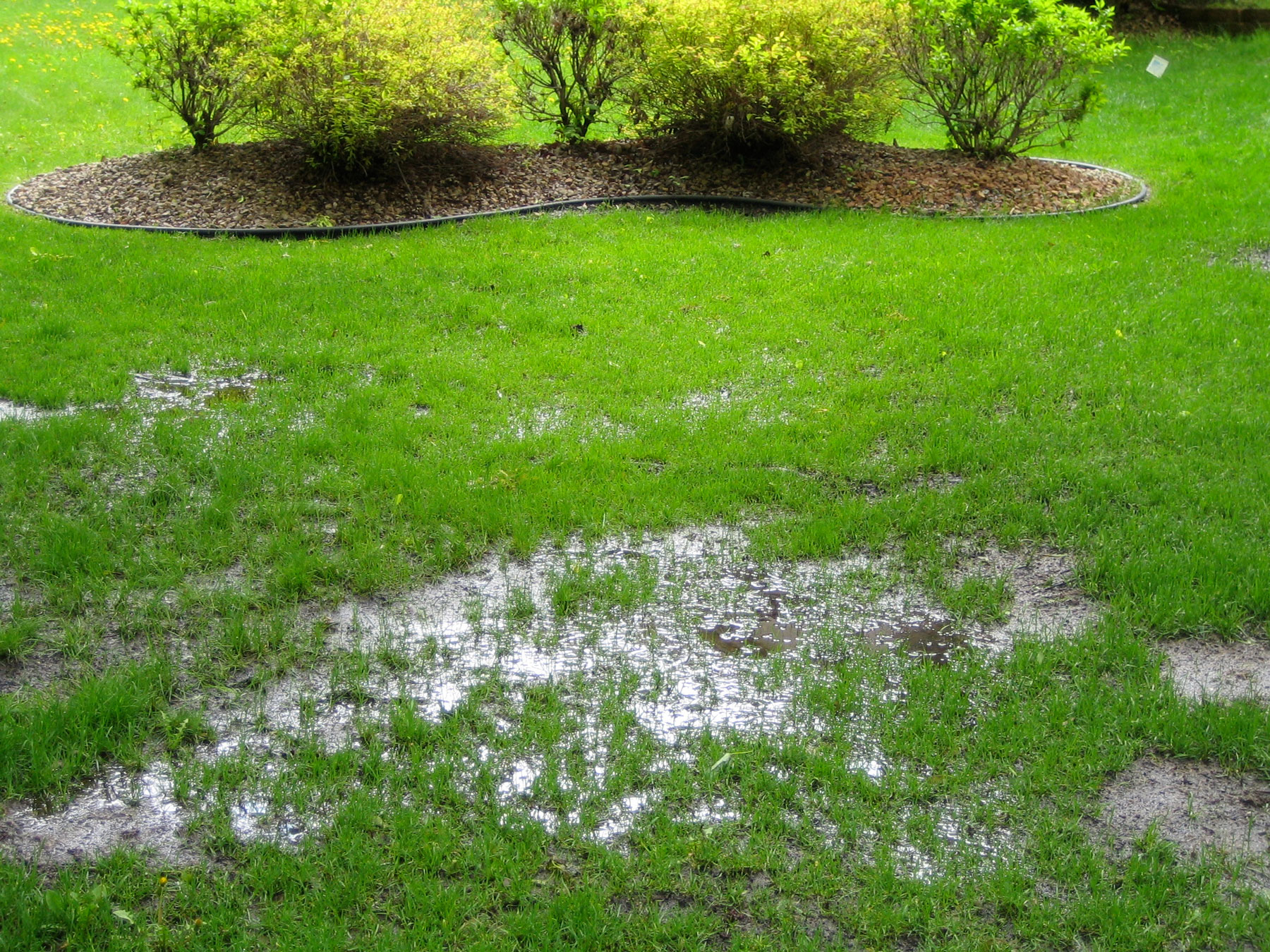 septic systems